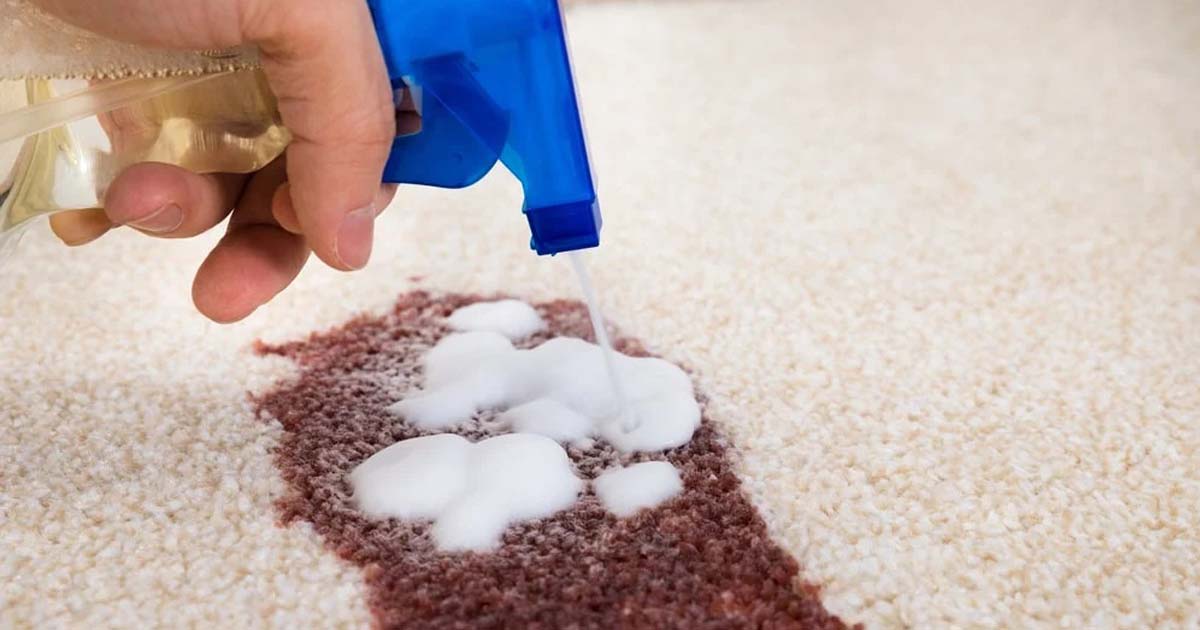 پاک کردن لکه قهوه از روی فرش با سرکه