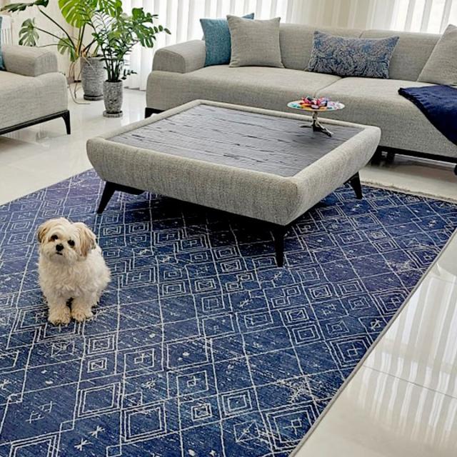 عکس فرش آنیسا