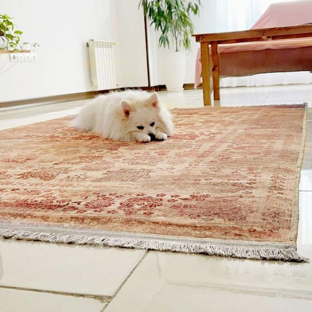 عکس فرش یارا