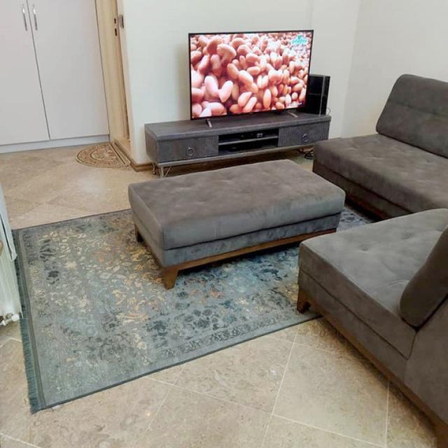 عکس فرش دلوان