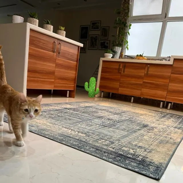 عکس فرش آشنا