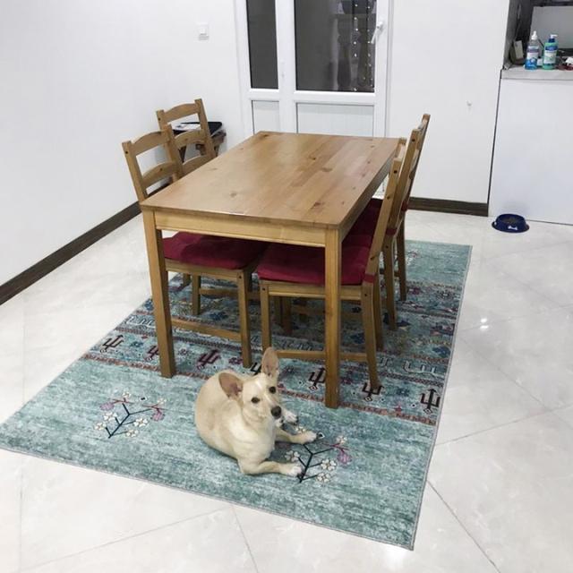 عکس فرش فاخر