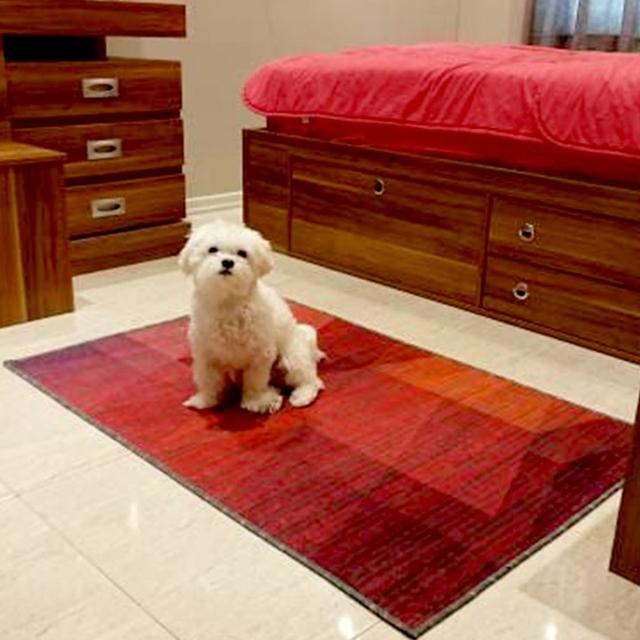 عکس فرش هنگامه