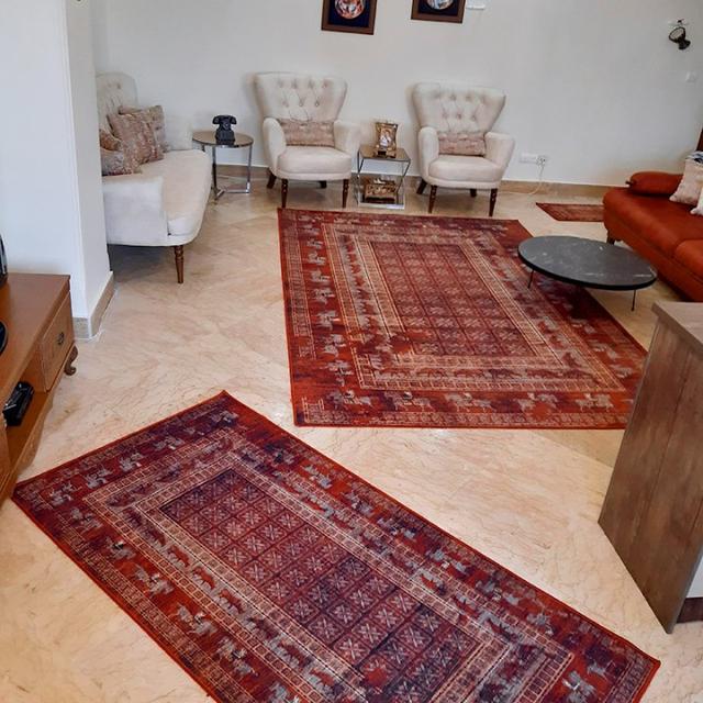 عکس فرش پازیریک