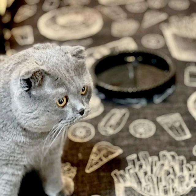 عکس فرش برگر