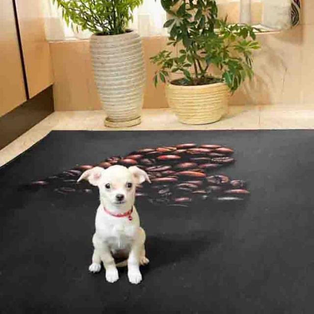 عکس فرش لانژ